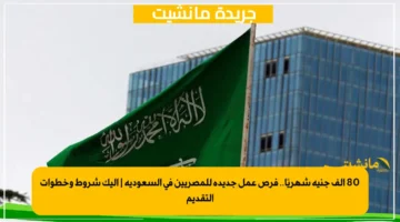 80 ألف جنيه شهريًا.. فرص عمل جديدة للمصريين في السعودية إليك شروط وخطوات التقديم 1